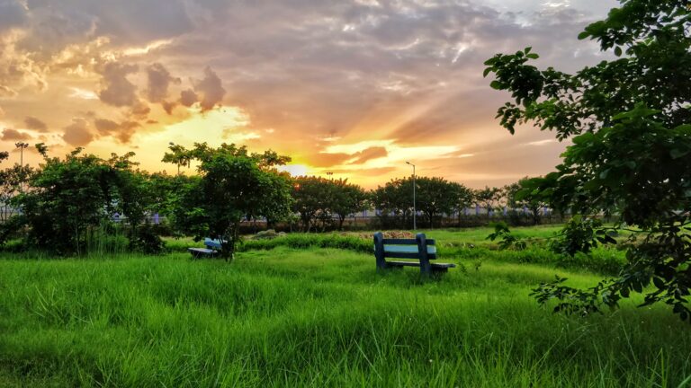 Copy of IMG_20180724_182106-01