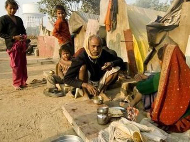 The impact of income inequality on the evolving brain