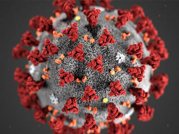 Lessons for the world from the coronaviral pandemic